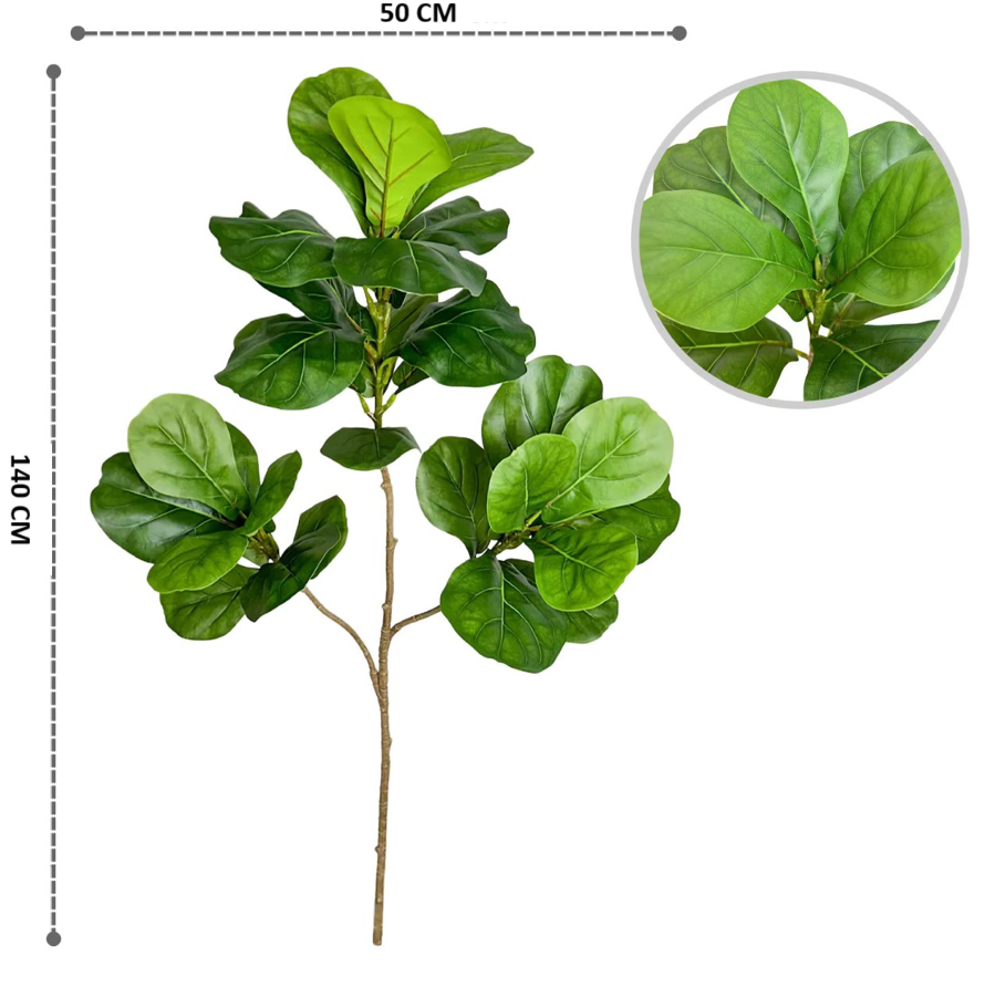 Pianta Monstera sauvage con vaso e muschio